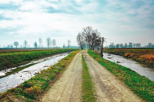 risorse per l'agricoltura dalla regione