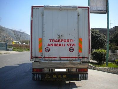 trasporto animali