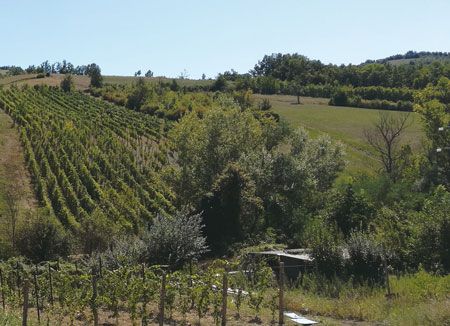 illica