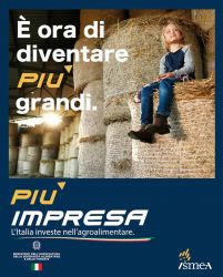 più impresa